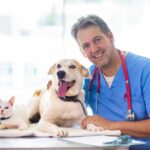 gestão de clínica veterinária