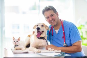 gestão de clínica veterinária