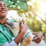 atendimento veterinário