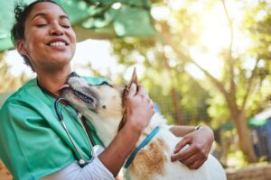 atendimento veterinário