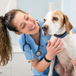 Mulher em clínica veterinária tratando cachorro