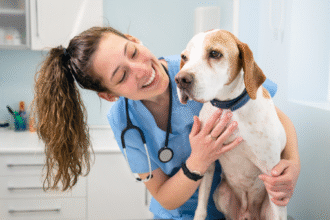 Mulher em clínica veterinária tratando cachorro