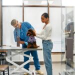 quanto custa abrir uma clínica veterinária