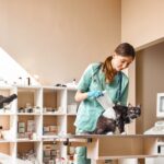 Equipamentos necessários para montar uma clínica veterinária