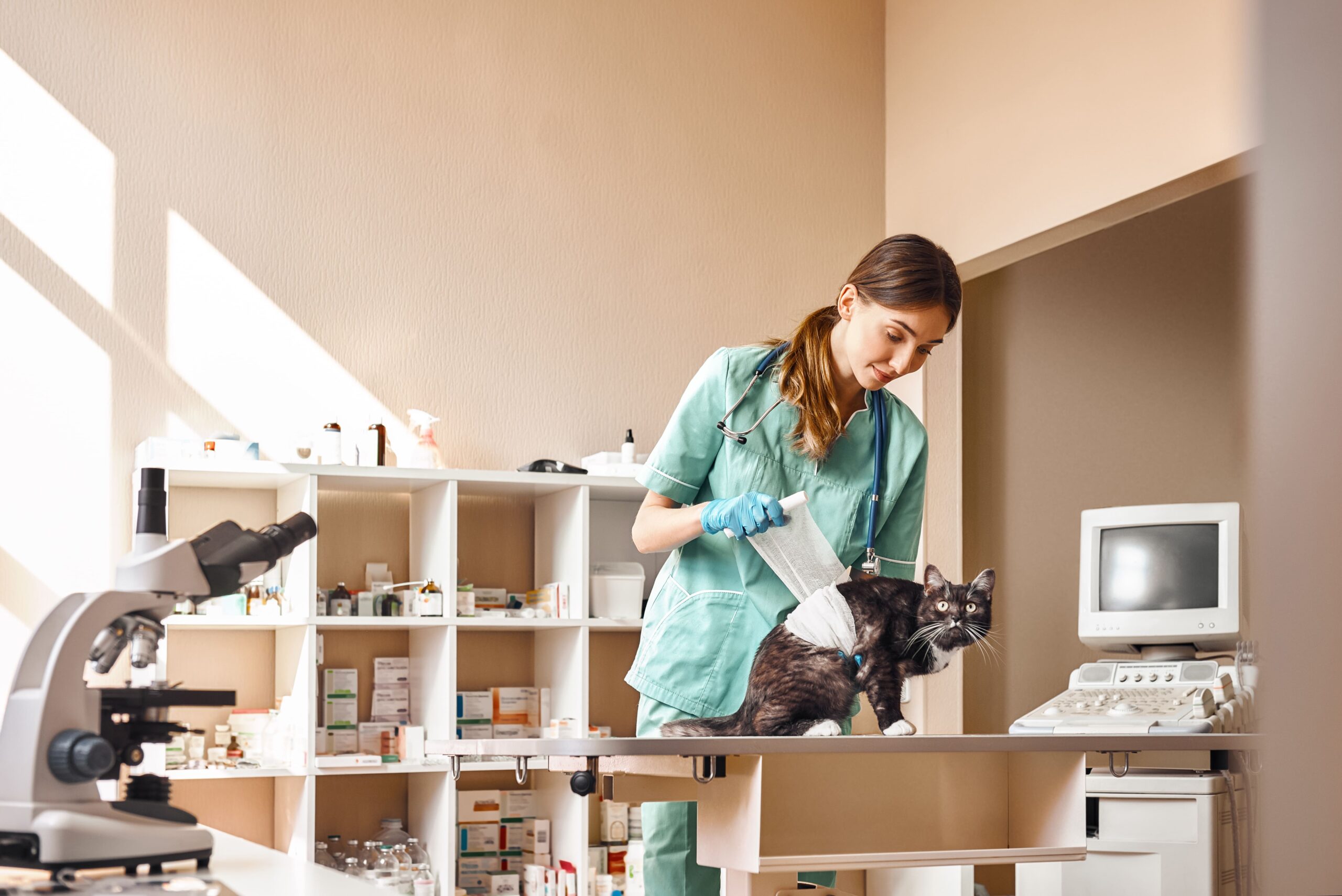 Equipamentos necessários para montar uma clínica veterinária