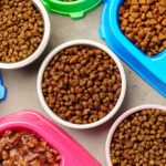 Dicas para vender comida para pet na sua clínica
