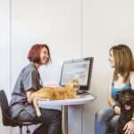 Sistema veterinário para consultas: como a IA facilita o diagnóstico
