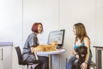 Sistema veterinário para consultas: como a IA facilita o diagnóstico