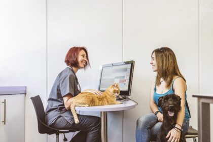 Sistema veterinário para consultas: como a IA facilita o diagnóstico