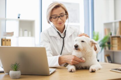 Consulta veterinária inteligente: como o Zlife acelera respostas clínicas