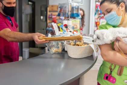 Como precificar serviços veterinários e produtos para pets