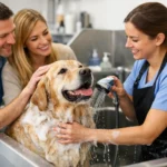 Como reduzir atrasos no banho no pet shop